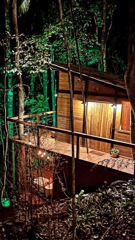 Casa del Árbol iluminada de noche entre los árboles, con balcón de madera